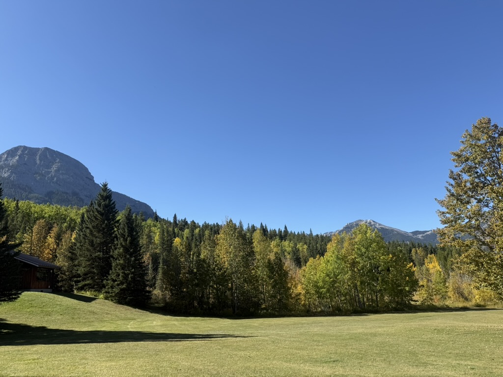 A grassy clearing at the field station, with a cabin at the edge of the forest and mountains rising behind the trees.