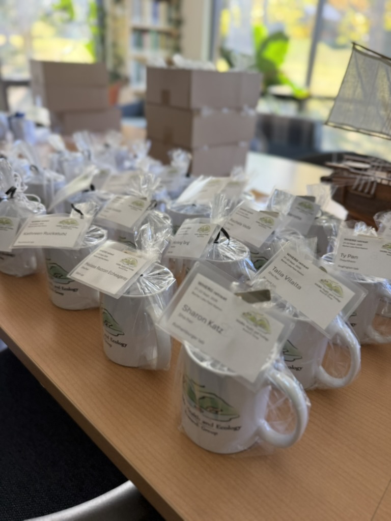 Wildlife Health and Ecology Research Group mugs wrapped as gifts, with participant name badges arranged on a table.
